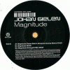 Magnitude