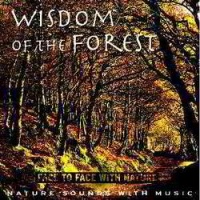 Wisdom Of The Forest