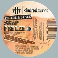 Snap Freeze Vinyl