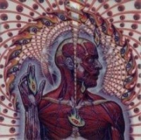 Lateralus