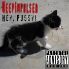 Hey Pussy (WEB)